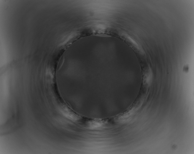 X0000101450661200807071407