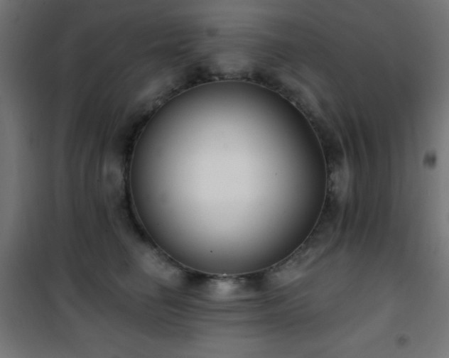 X0000101450662200807071407