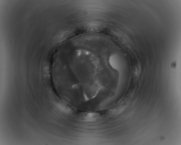 X0000101450663200807071407