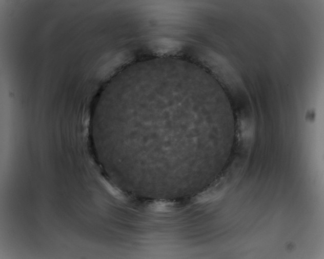 X0000101450664200807071407