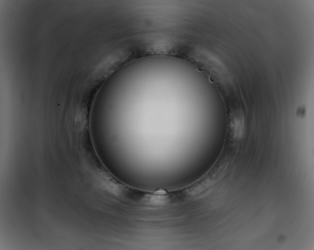 X0000101450665200807071407