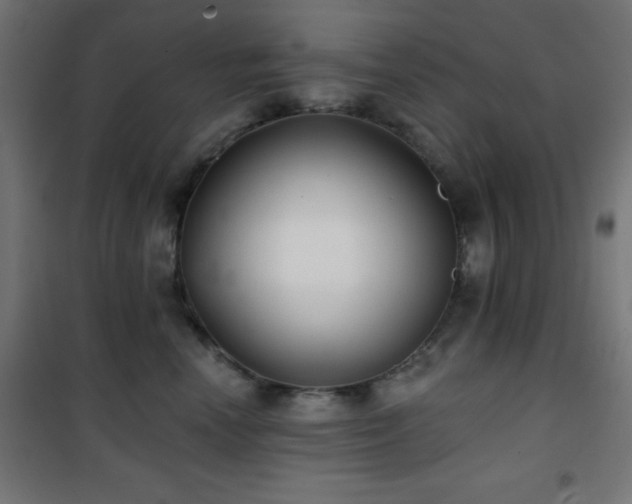 X0000101450666200807071407