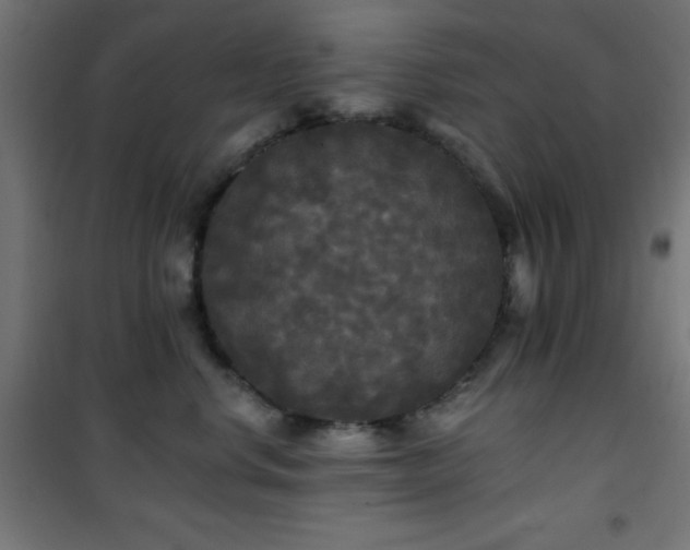 X0000101450668200807071407