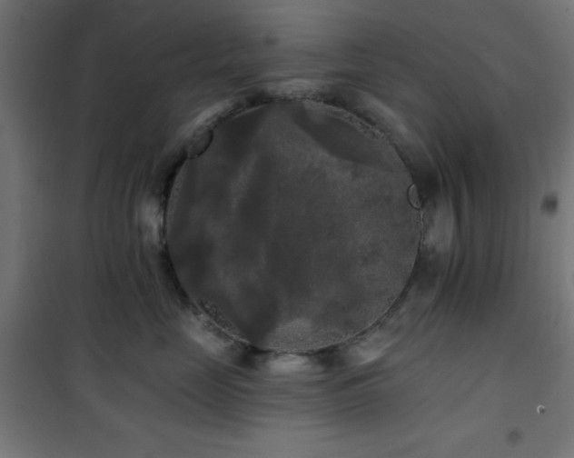 X0000101450669200807071407