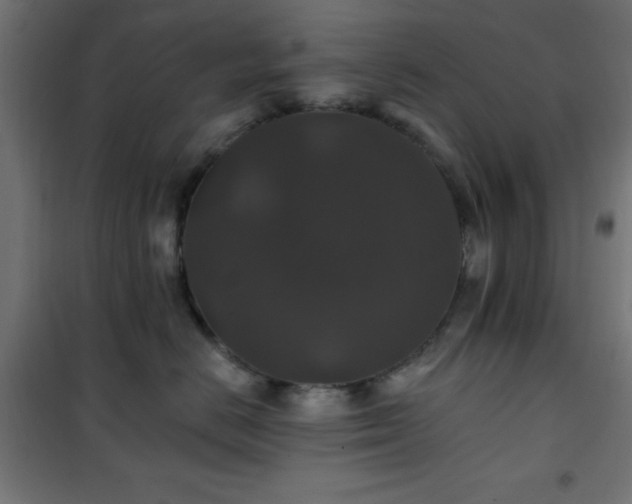 X0000101450670200807071407