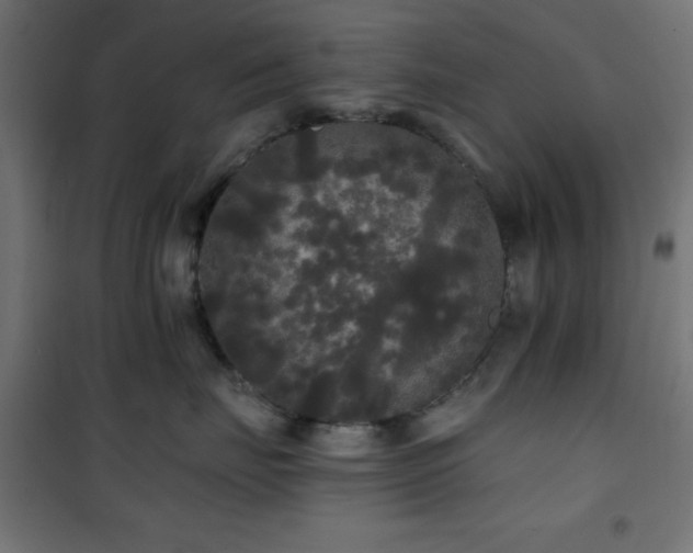 X0000101450671200807071407