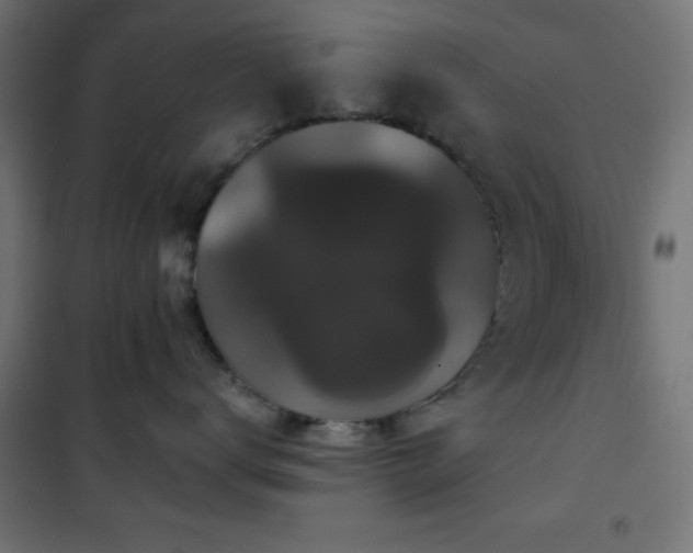 X0000101450672200807071407