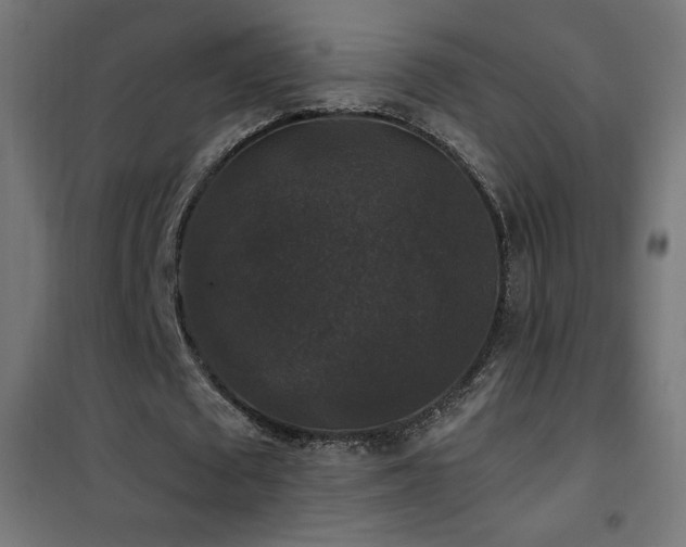 X0000101450673200807071406