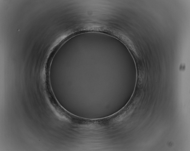 X0000101450674200807071406