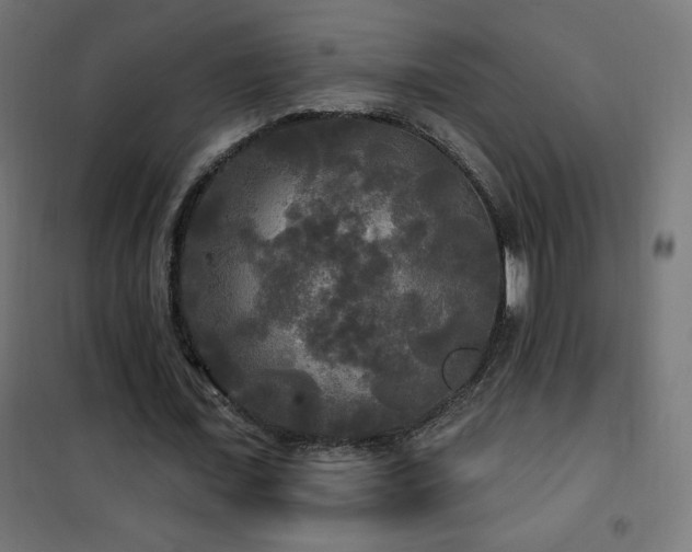 X0000101450675200807071406