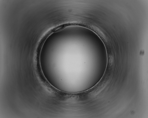 X0000101450676200807071406