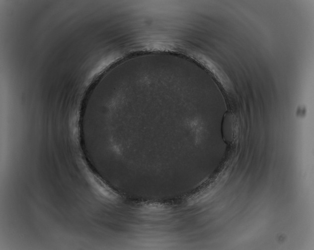 X0000101450677200807071406