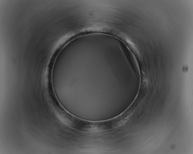 X0000101450678200807071406