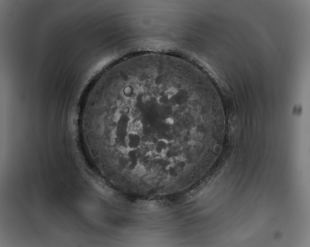 X0000101450679200807071406