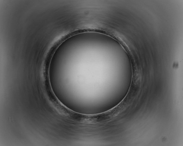 X0000101450680200807071406