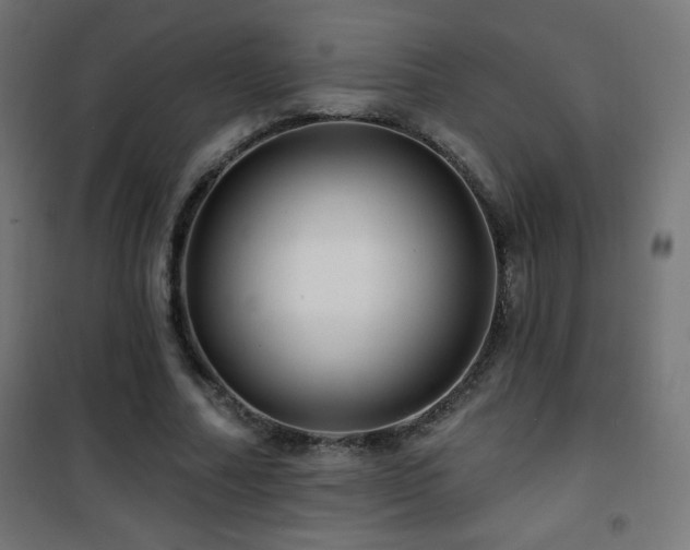 X0000101450682200807071406