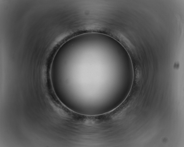X0000101450684200807071406