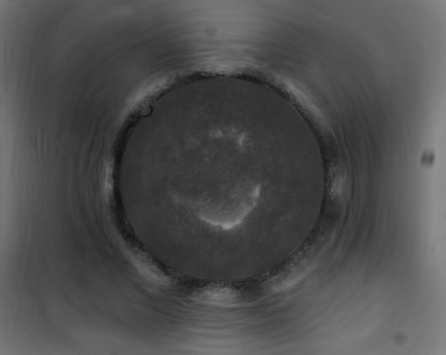 X0000101450685200807071406
