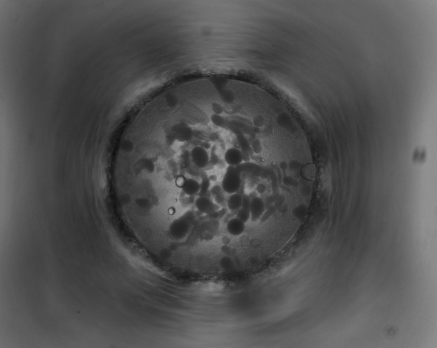 X0000101450687200807071406