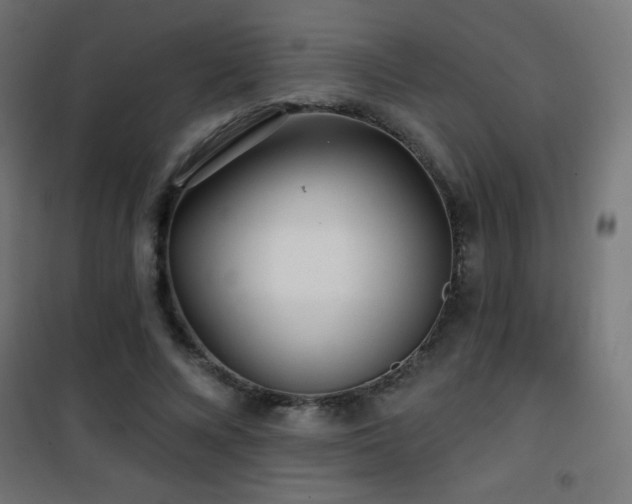 X0000101450688200807071406