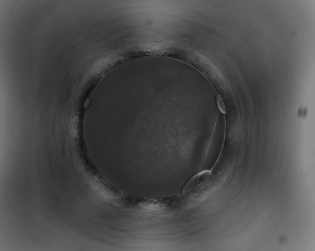 X0000101450689200807071406