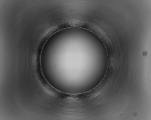 X0000101450690200807071406