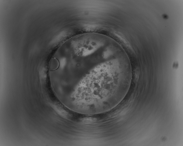 X0000101450691200807071406