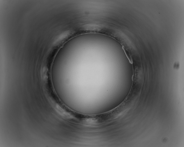 X0000101450692200807071406