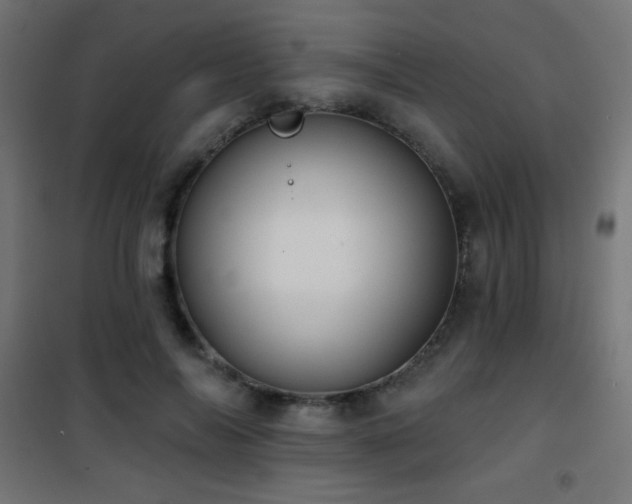 X0000101450694200807071406