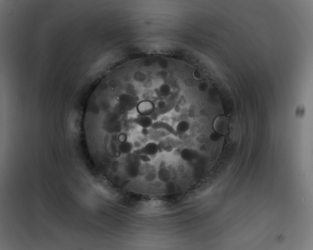 X0000101450695200807071406