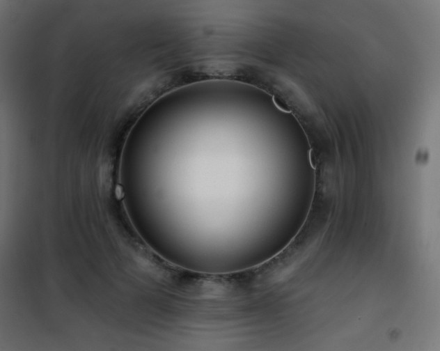 X0000101450697200807071406