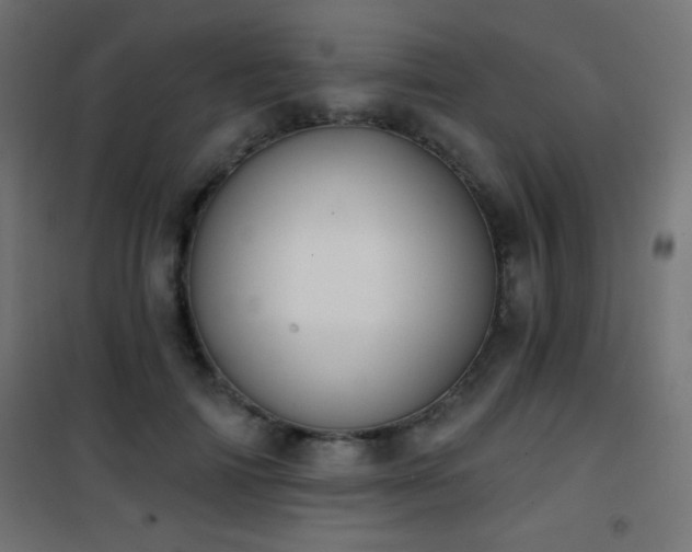 X0000101450698200807071406