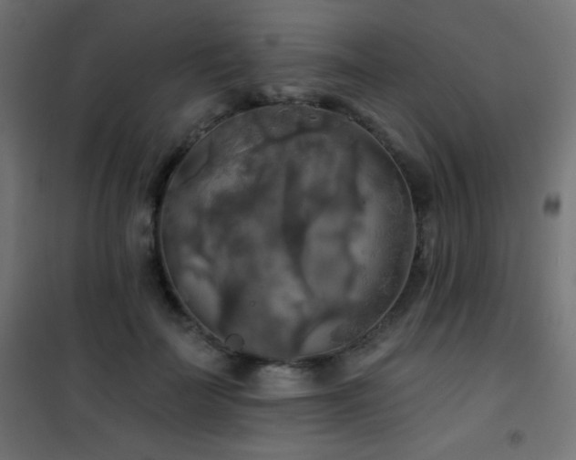 X0000101450699200807071406