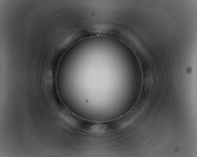 X0000101450700200807071406