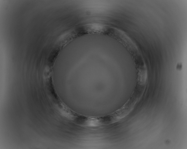 X0000101450701200807071406