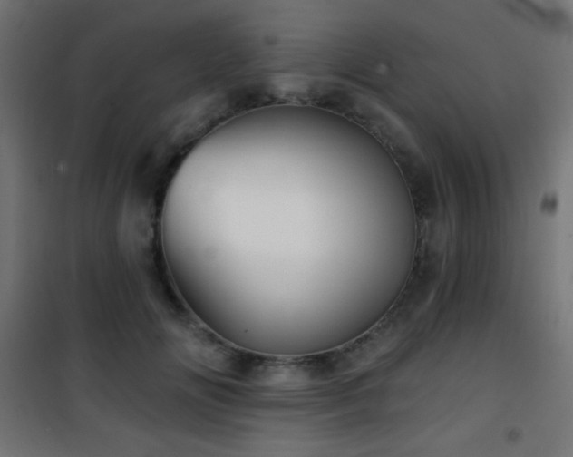 X0000101450702200807071406