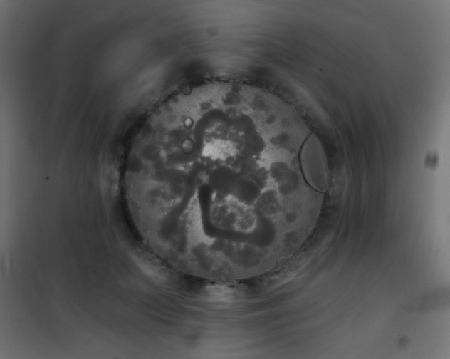X0000101450703200807071406