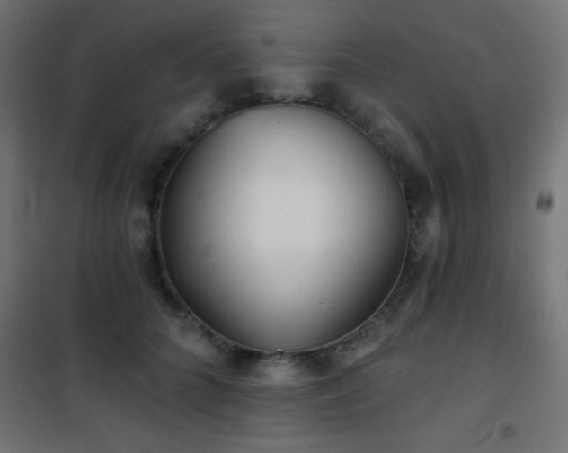X0000101450704200807071406