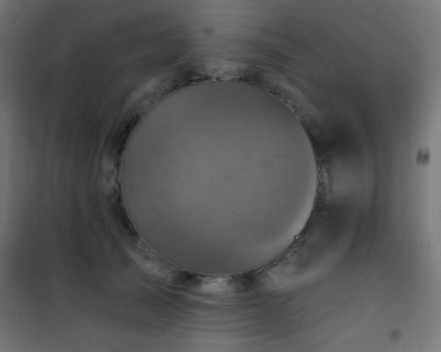 X0000101450705200807071406
