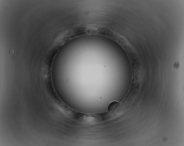 X0000101450706200807071406