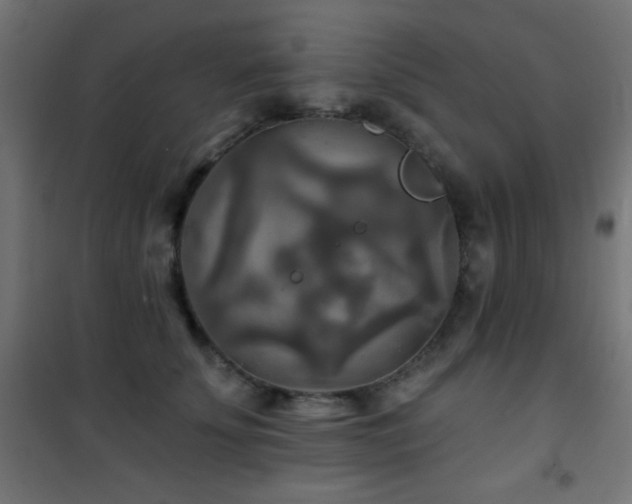 X0000101450707200807071406