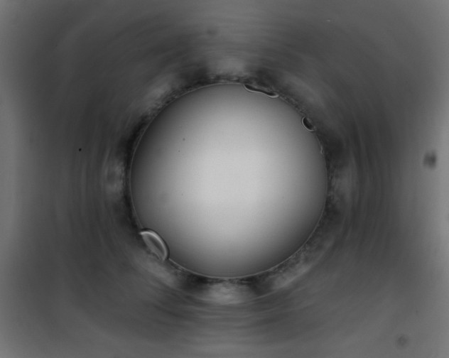 X0000101450708200807071406