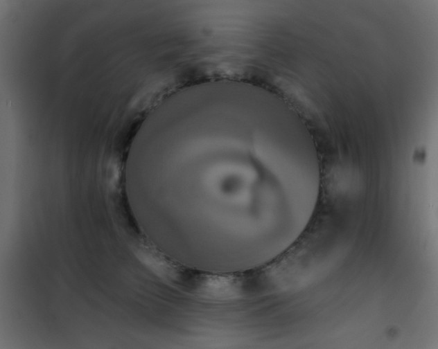 X0000101450709200807071406