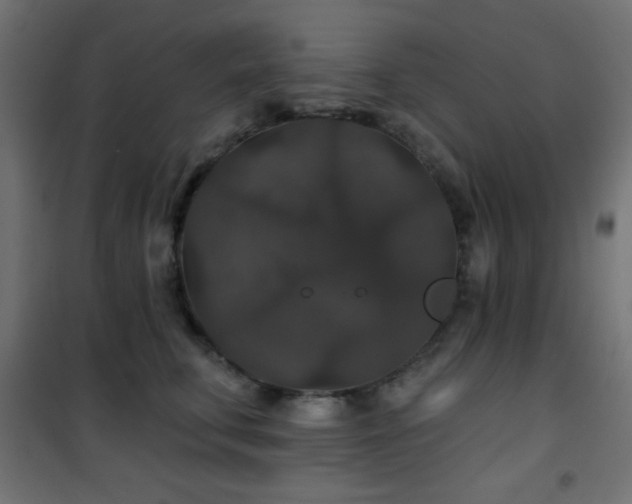 X0000101450711200807071406