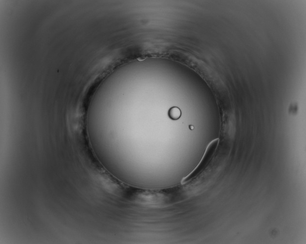 X0000101450712200807071406