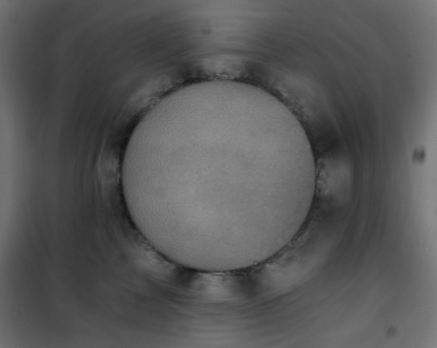 X0000101450713200807071406