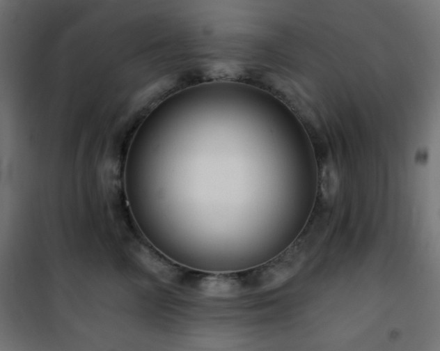 X0000101450714200807071406