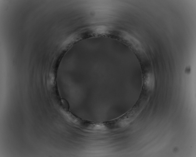 X0000101450715200807071406