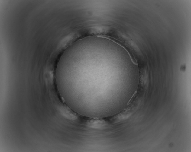 X0000101450716200807071406