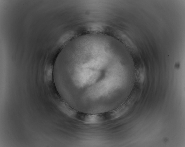 X0000101450717200807071406